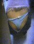 pic thong