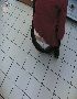 exposed thong pictures